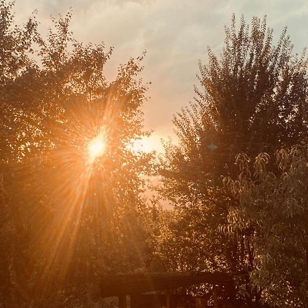 La Irmania Pension Леденицен Экстерьер фото