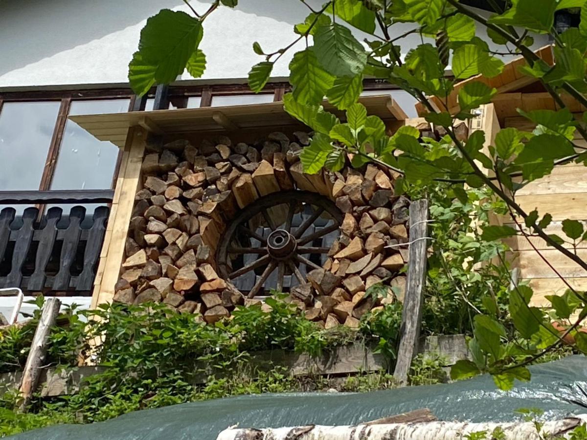 La Irmania Pension Леденицен Экстерьер фото