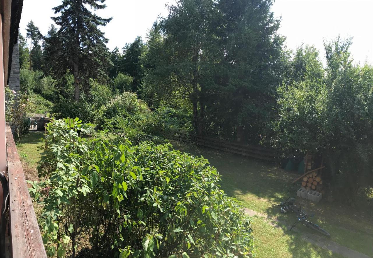 La Irmania Pension Леденицен Экстерьер фото